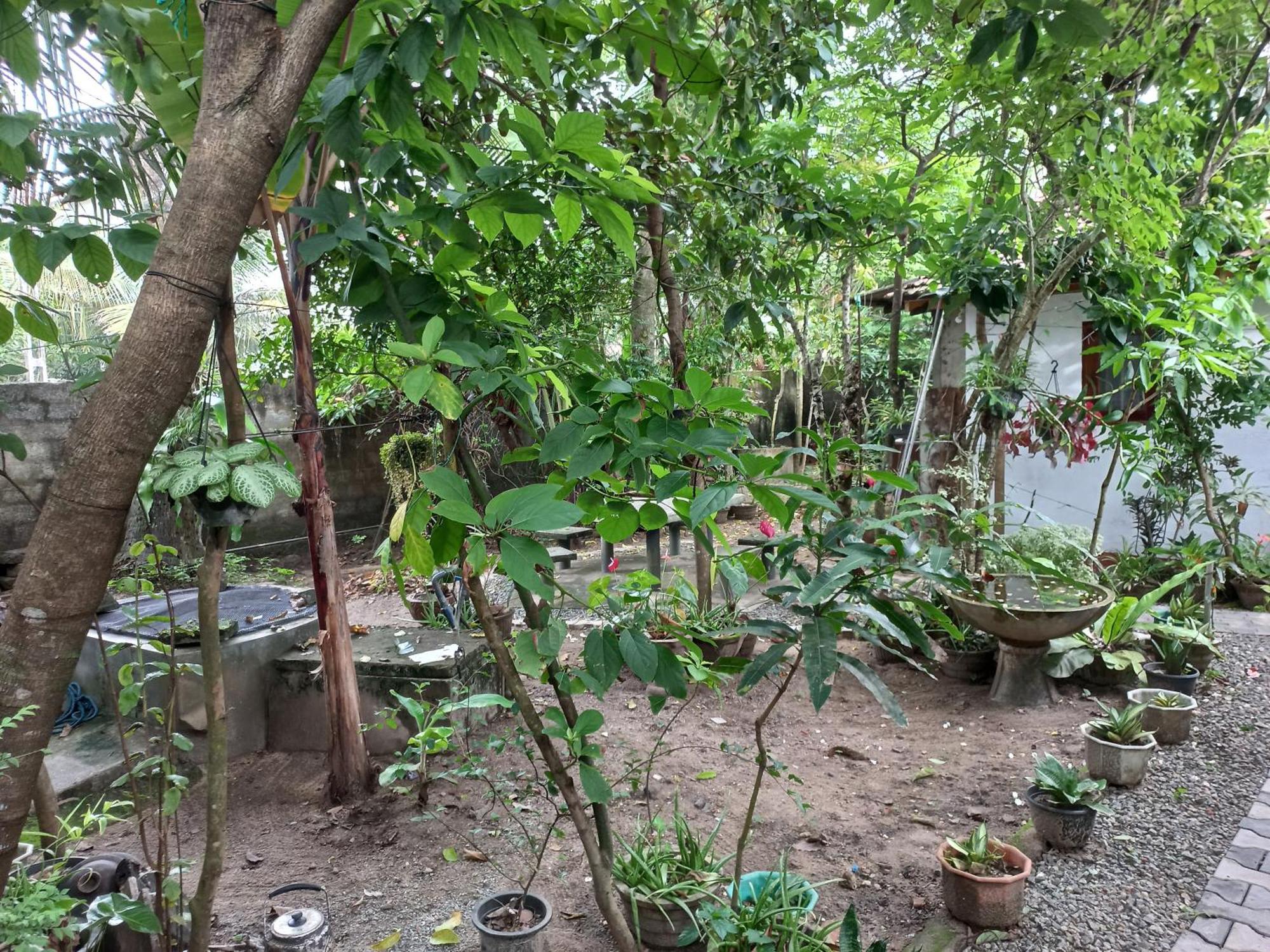Mango Villa 703 Хикадува Екстериор снимка