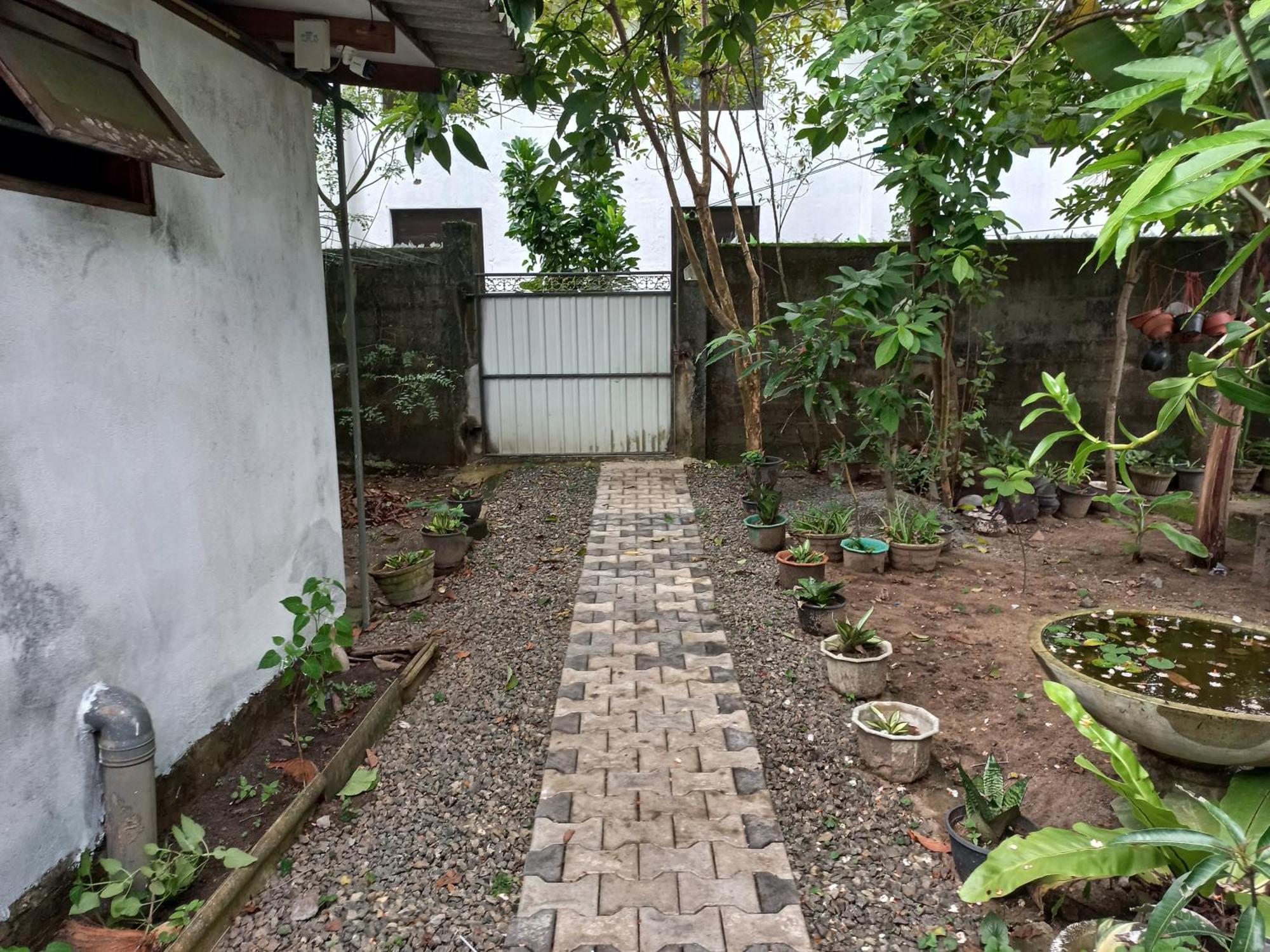 Mango Villa 703 Хикадува Екстериор снимка